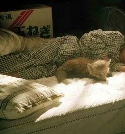 Лисичка Хэлен (2006) через торрент бесплатно Лисичка Хэлен (2006) фильм через торрент бесплатно