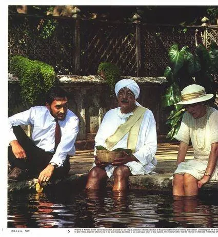 Поездка в Индию (1984) в хорошем качестве через торрент Поездка в Индию (1984) фильм в хорошем качестве через торрент