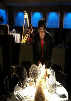 Верзила Салмон (2009) в хорошем качестве через торрент Верзила Салмон (2009) фильм в хорошем качестве через торрент