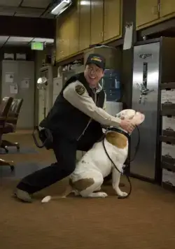 Пиво моим лошадям (2008) в хорошем качестве через торрент Пиво моим лошадям (2008) фильм в хорошем качестве через торрент