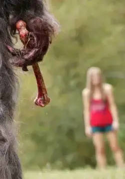 Богги Крик (2010) через торрент скачать Богги Крик (2010) фильм через торрент скачать