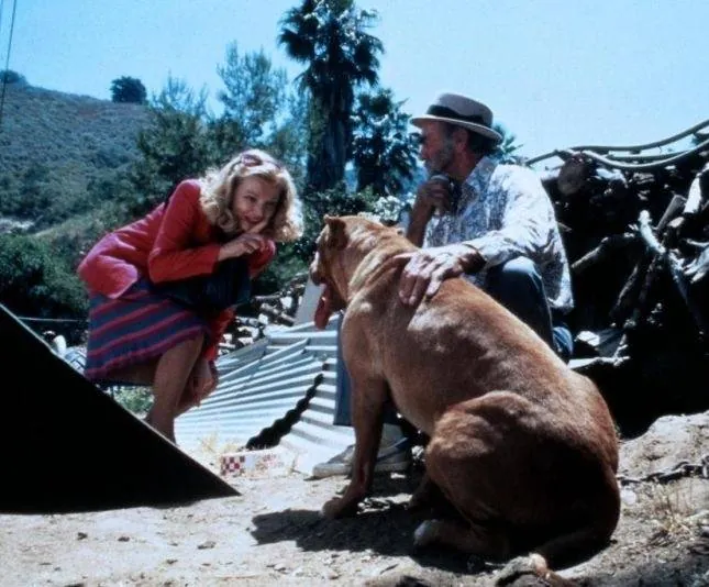 Потоки любви (1984) через торрент бесплатно Потоки любви (1984) фильм через торрент бесплатно