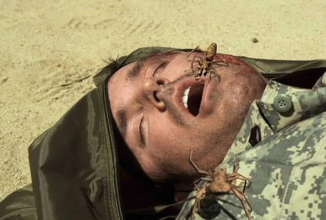 Верблюжьи пауки (2011) в хорошем качестве через торрент Верблюжьи пауки (2011) фильм в хорошем качестве через торрент