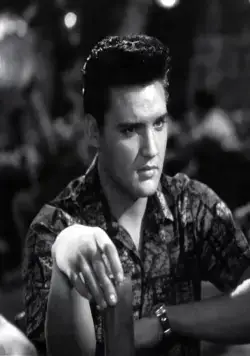 Голубые Гавайи (1961) в хорошем качестве через торрент Голубые Гавайи (1961) фильм в хорошем качестве через торрент