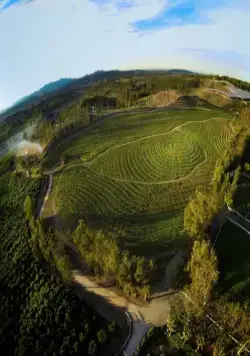 Самая большая маленькая ферма (2018) через торрент бесплатно Самая большая маленькая ферма (2018) фильм через торрент бесплатно