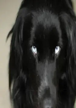 Самая большая маленькая ферма (2018) через торрент скачать Самая большая маленькая ферма (2018) фильм через торрент скачать