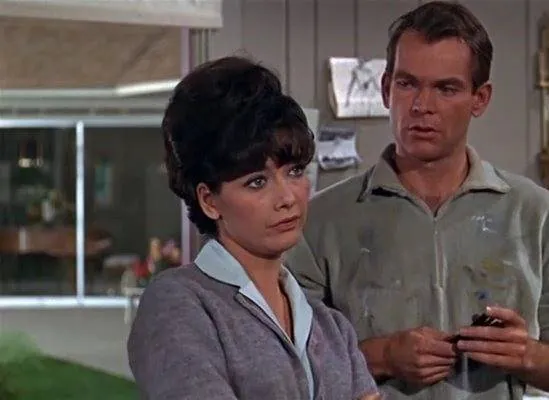 Гадкая такса (1966) через торрент скачать Гадкая такса (1966) фильм через торрент скачать