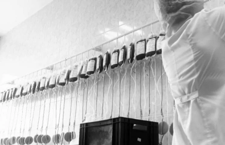 Кровь (2013) через торрент скачать Кровь (2013) фильм через торрент скачать