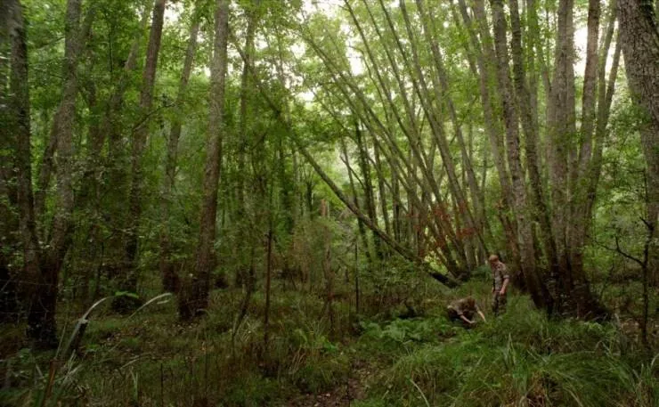 Истребители (2014) через торрент бесплатно Истребители (2014) фильм через торрент бесплатно