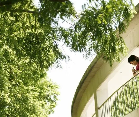 Он встретил любовь (2008) через торрент скачать Он встретил любовь (2008) фильм через торрент скачать