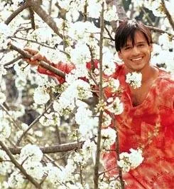 Анатомия любви (2002) через торрент бесплатно Анатомия любви (2002) фильм через торрент бесплатно