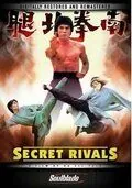 Тайные соперники / Nan quan bei tui (1976) фильм скачать через торрент в хорошем качестве
