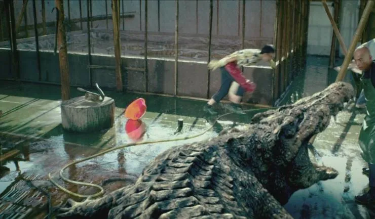 Крокодил на миллион долларов (2012) через торрент бесплатно Крокодил на миллион долларов (2012) фильм через торрент бесплатно