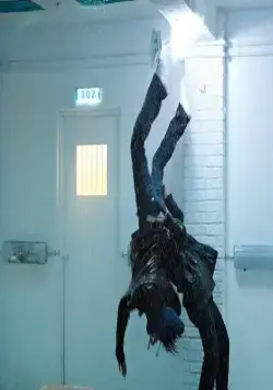 Посредник (2010) через торрент бесплатно Посредник (2010) фильм через торрент бесплатно