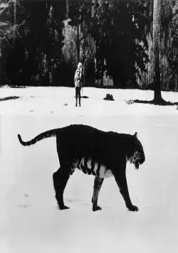 По следу властелина (1979) через торрент бесплатно По следу властелина (1979) фильм через торрент бесплатно