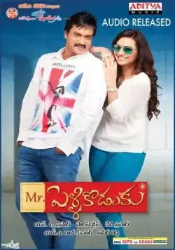 Скачать Мистер Жених / Mr. Pellikodukku (2013) фильм через торрент на русском