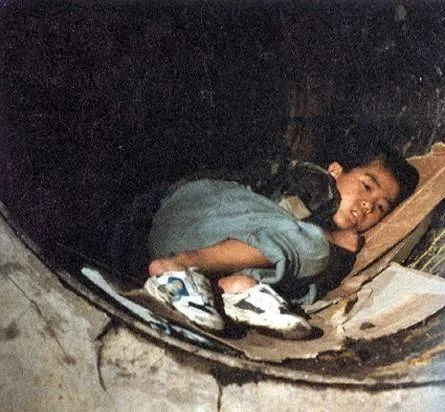 Крокодил (1996) в хорошем качестве через торрент Крокодил (1996) фильм в хорошем качестве через торрент