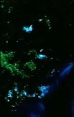 Кулак возмездия (1973) через торрент скачать Кулак возмездия (1973) фильм через торрент скачать