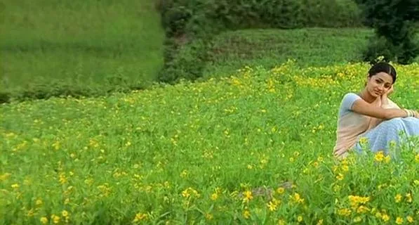 Непохищенная невеста 2 (2005) в хорошем качестве через торрент Непохищенная невеста 2 (2005) фильм в хорошем качестве через торрент