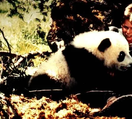 Удивительное приключение панды (1995) через торрент бесплатно Удивительное приключение панды (1995) фильм через торрент бесплатно