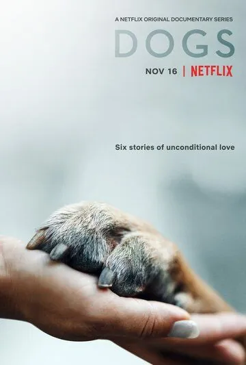 Собаки / Dogs (2018) cериал скачать через торрент в хорошем качестве