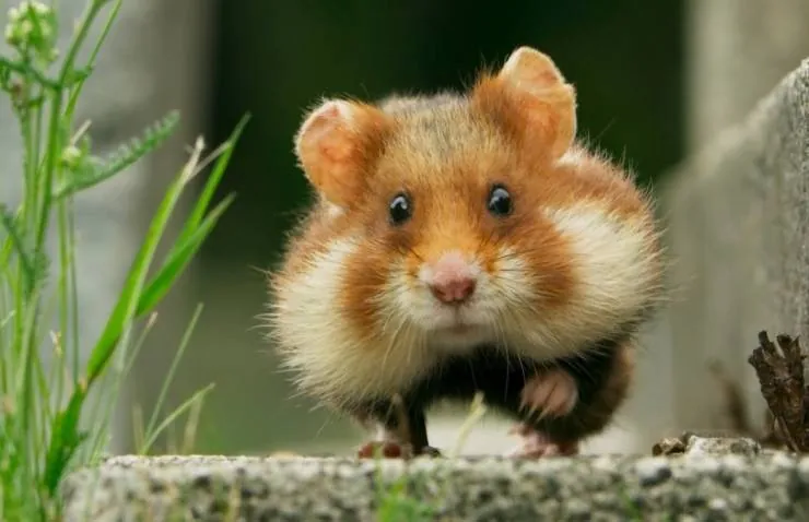 Семь миров, одна планета (2019) в хорошем качестве через торрент Семь миров, одна планета (2019) сериал в хорошем качестве через торрент