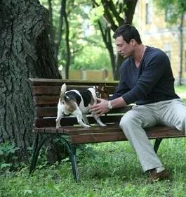 Общая терапия (2008) в хорошем качестве через торрент Общая терапия (2008) сериал в хорошем качестве через торрент