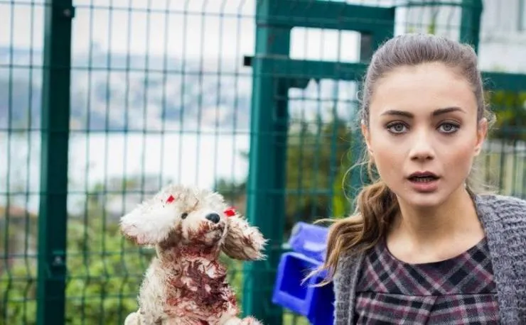 История одной любви (2013) через торрент бесплатно История одной любви (2013) сериал через торрент бесплатно