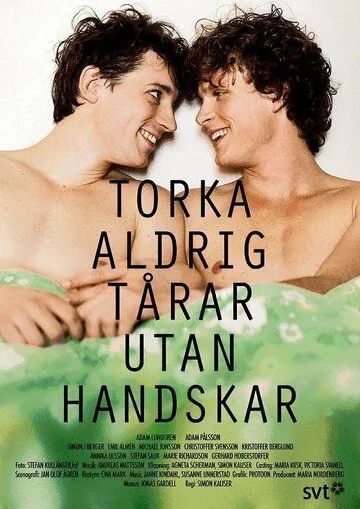 Никогда не вытирайте слезы без перчаток / Torka aldrig tårar utan handskar (2012) cериал скачать через торрент в хорошем качестве