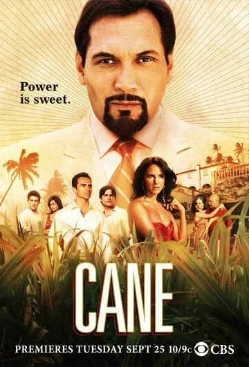Плантация / Cane (2007) cериал скачать через торрент в хорошем качестве