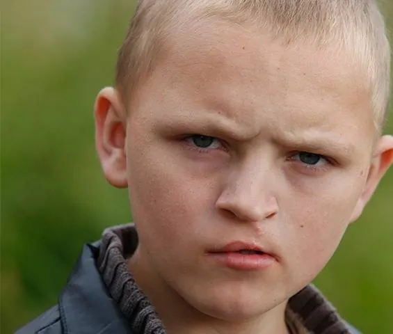 Малыш Кенкен (2014) в хорошем качестве через торрент Малыш Кенкен (2014) сериал в хорошем качестве через торрент