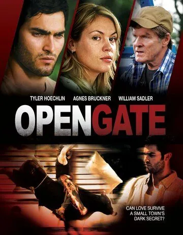 Открытые ворота / Open Gate (2011) фильм скачать через торрент в хорошем качестве