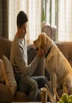 Загрузка (2020) через торрент бесплатно Загрузка (2020) сериал через торрент бесплатно