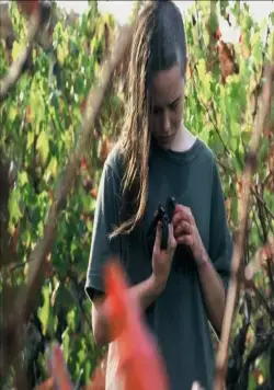 Лицом к лицу (2004) через торрент скачать Лицом к лицу (2004) фильм через торрент скачать