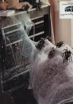 Царство пауков (1977) через торрент скачать Царство пауков (1977) фильм через торрент скачать