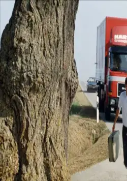 Новая волна (1990) через торрент бесплатно Новая волна (1990) фильм через торрент бесплатно