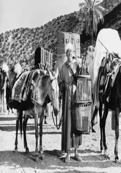 Али Баба и 40 разбойников (1954) в хорошем качестве через торрент Али Баба и 40 разбойников (1954) фильм в хорошем качестве через торрент