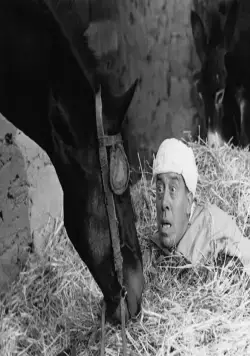 Али Баба и 40 разбойников (1954) через торрент скачать Али Баба и 40 разбойников (1954) фильм через торрент скачать