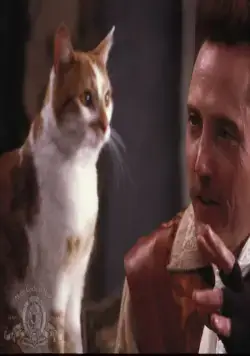 Кот в сапогах (1988) через торрент скачать Кот в сапогах (1988) фильм через торрент скачать