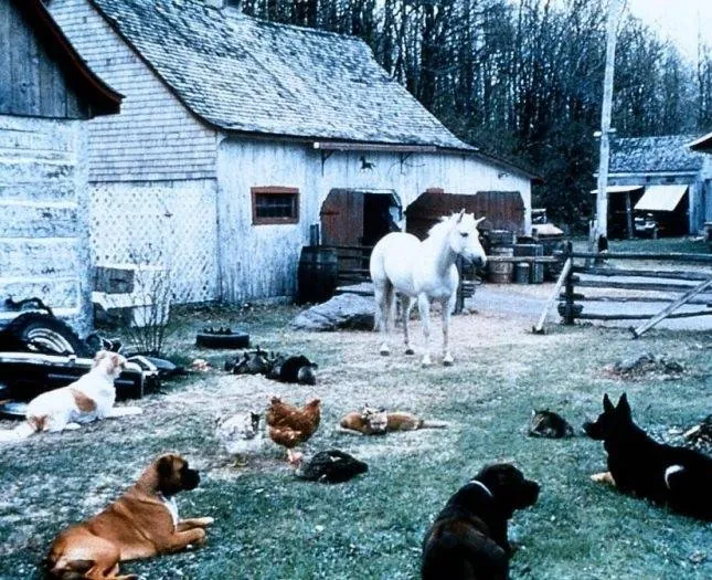 Нико-единорог (1998) через торрент скачать Нико-единорог (1998) фильм через торрент скачать