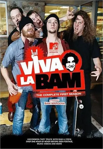 Вива ля Бэм / Viva la Bam (2003) сериал скачать через торрент в хорошем качестве