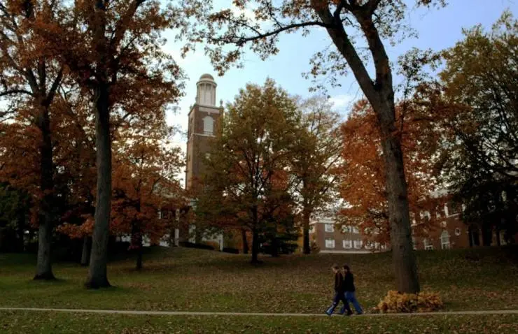 Вишня (2010) через торрент скачать Вишня (2010) фильм через торрент скачать