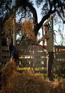 Потерянный муж (2020) в хорошем качестве через торрент Потерянный муж (2020) фильм в хорошем качестве через торрент