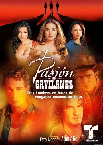 Тайная страсть / Pasion de gavilanes (2003) cериал скачать через торрент в хорошем качестве