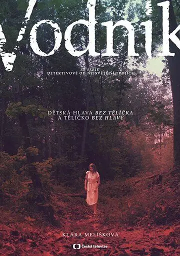Водяной / Vodník (2019) cериал скачать через торрент в хорошем качестве