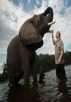 Король тигров: Убийство, хаос и безумие (2020) через торрент бесплатно Король тигров: Убийство, хаос и безумие (2020) сериал через торрент бесплатно