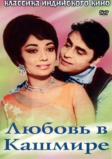 Любовь в Кашмире / Arzoo (1969) фильм скачать через торрент в хорошем качестве