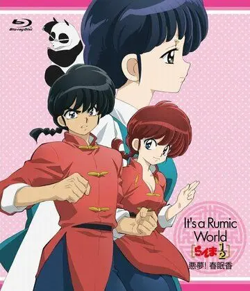 Ранма 1/2. Фильм 4 / Ranma 1/2: Akumu! Shunmin Kou (2008) мультфильм скачать через торрент в хорошем качестве