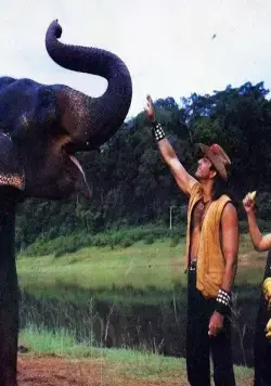 Сафари (1999) через торрент скачать Сафари (1999) фильм через торрент скачать