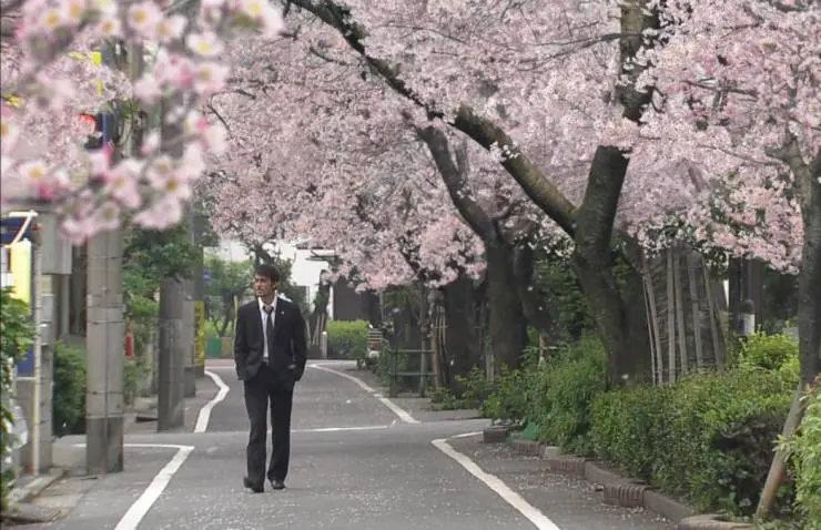 Драгонзакура (2005) через торрент бесплатно Драгонзакура (2005) сериал через торрент бесплатно